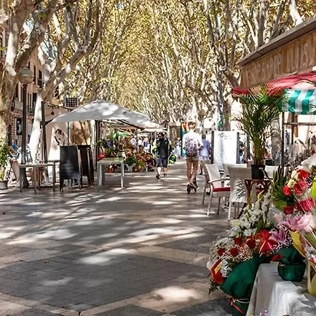 Guest house Rambla Center Palma de Mallorca