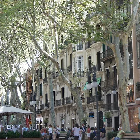 Rambla Center * Palma de Mallorca